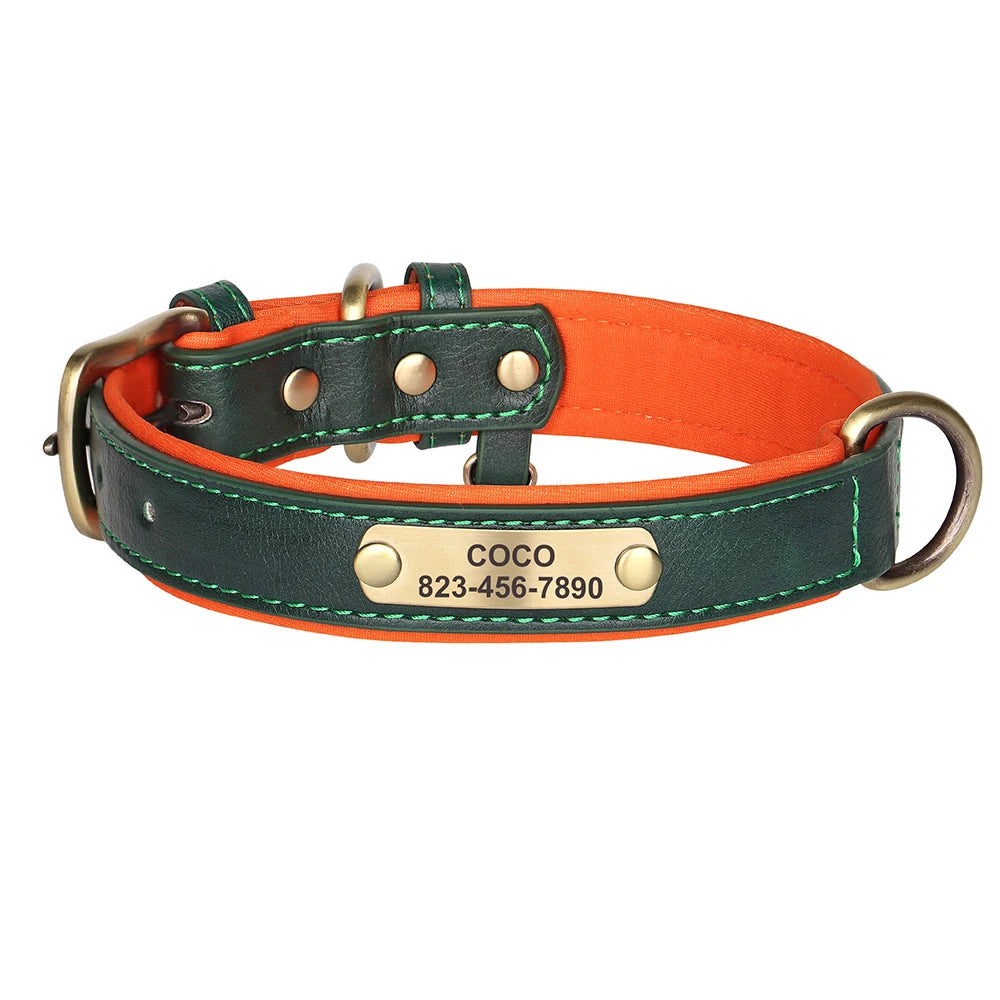 Collier en cuir vert pour chien avec plaque gravée dorée et doublure orange sur fond blanc.
