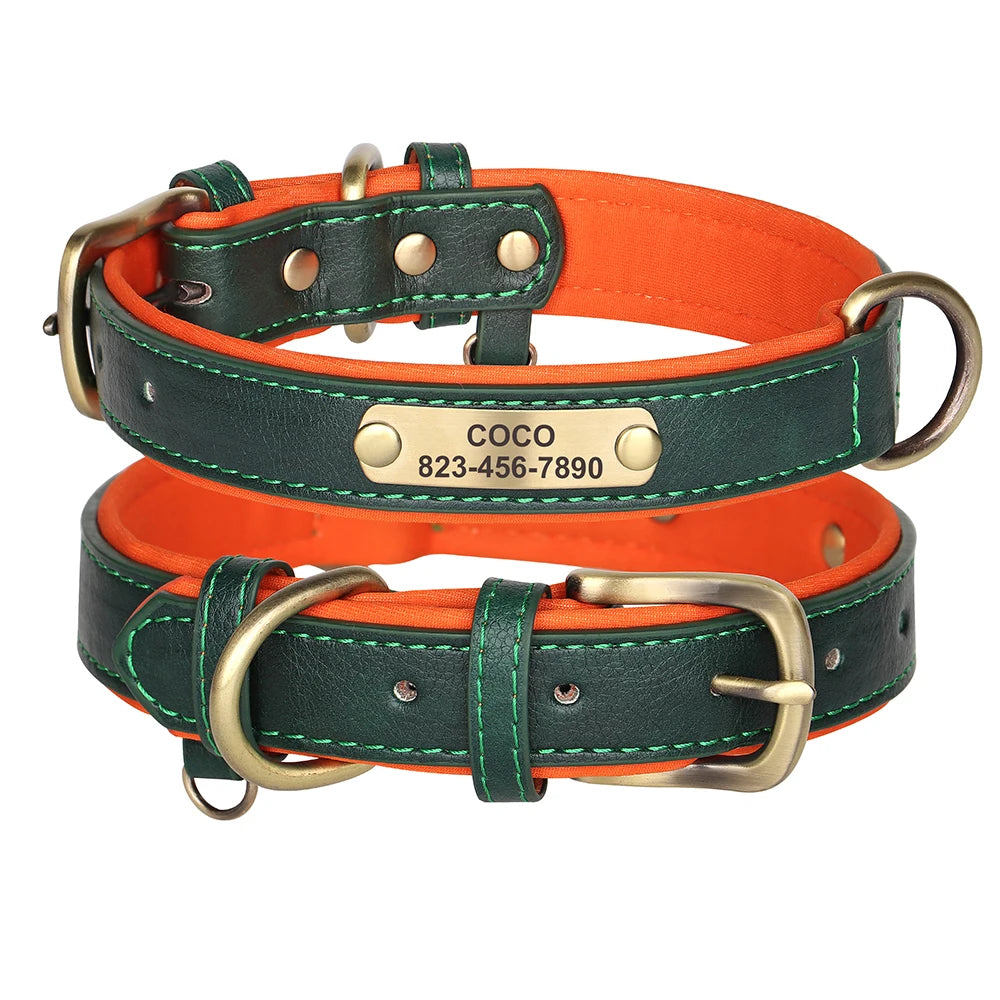Collier en cuir vert pour chien avec doublure orange et plaque gravée dorée sur fond blanc.