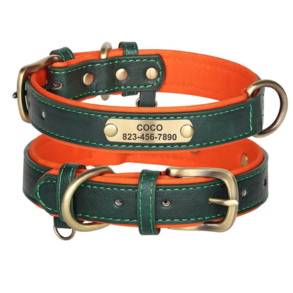 Collier en cuir vert pour chien avec doublure orange et plaque gravée dorée sur fond blanc.