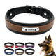 Visuel de présentation du collier en cuir rembourré bicolore pour chien avec plusieurs coloris disponibles.