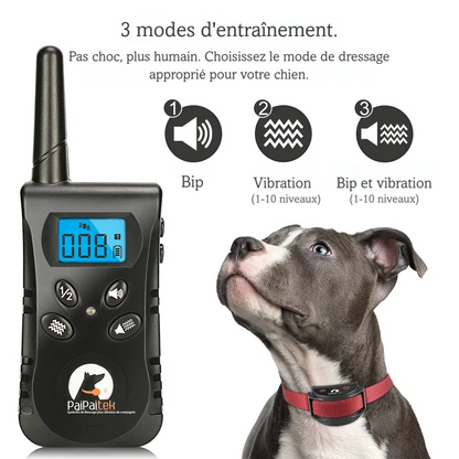 Visuel sur fond blanc des 3 modes du collier de dressage sans choc : bip, vibration et bip avec vibration.