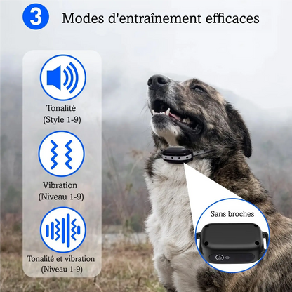 Visuel des 3 modes d’entraînement d’un collier sonore blanc et vibrant pour chien.