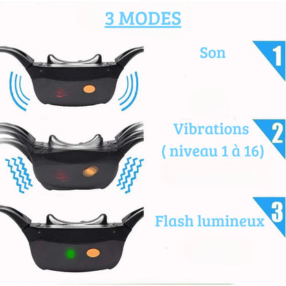 Présentation des trois modes du collier de dressage chien : tonalité, vibration sur 16 niveaux et lumière clignotante.
