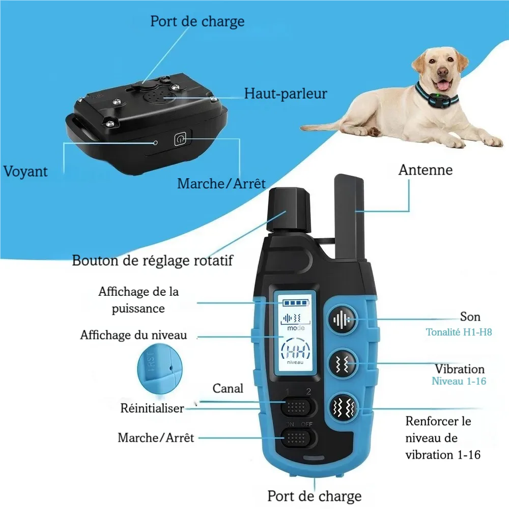 Vue annotée du collier de dressage et de la télécommande avec les principales fonctions.