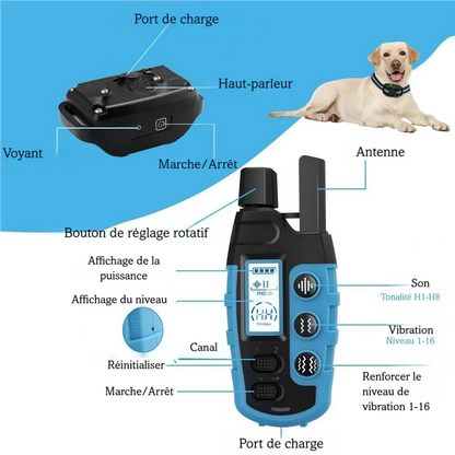 Vue annotée du collier de dressage et de la télécommande avec les principales fonctions.