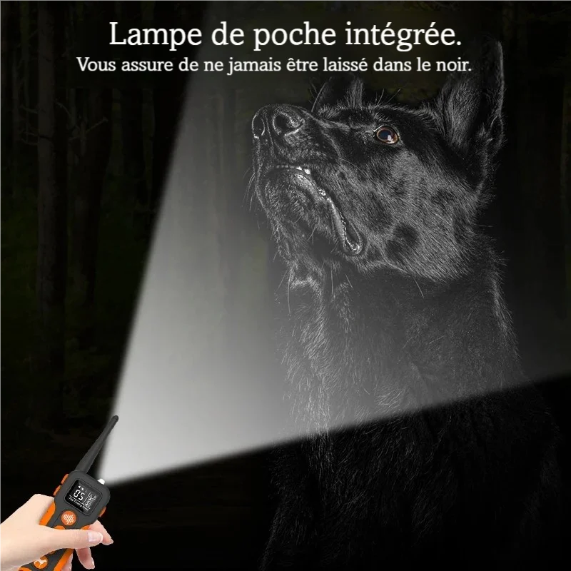 Visuel de la lampe torche intégrée à la télécommande du collier pour chien.