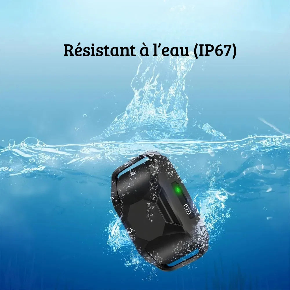 Boîtier du collier de dressage pour chien présenté dans l’eau.