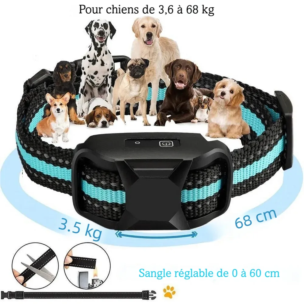 Collier de dressage pour chien avec sangle réglable adapté à plusieurs tailles de chiens.