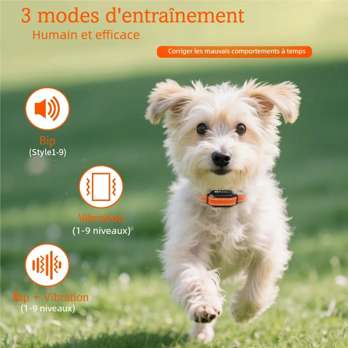 Petit chien blanc portant un collier de dressage orange sans choc avec modes bip, vibration et bip plus vibration.