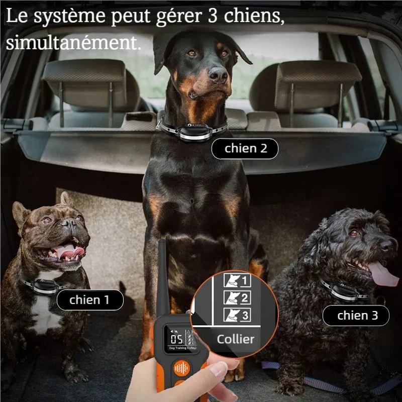 Visuel d’utilisation d’un collier de dressage pour 3 chiens avec bip et vibration.