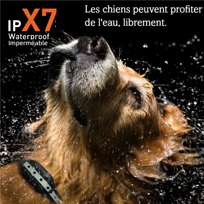 Collier de dressage sans choc pour chien avec étanchéité présenté sur un chien mouillé sur fond noir.