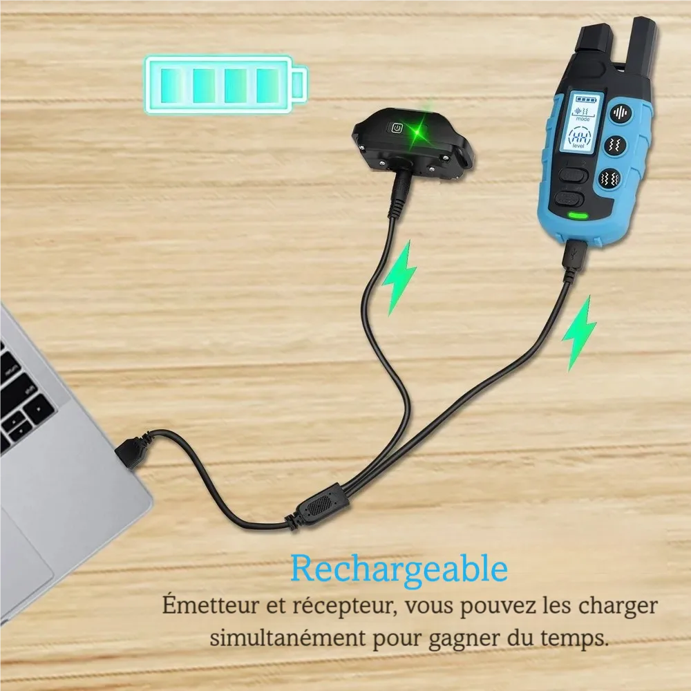 Recharge simultanée de la télécommande et du récepteur du collier de dressage pour chien.