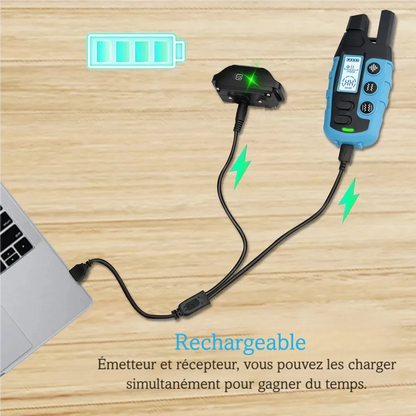 Recharge simultanée de la télécommande et du récepteur du collier de dressage pour chien.