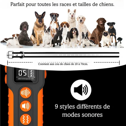Visuel du collier pour chien compatible avec plusieurs tailles et races et présentant également les 9 modes sonores.