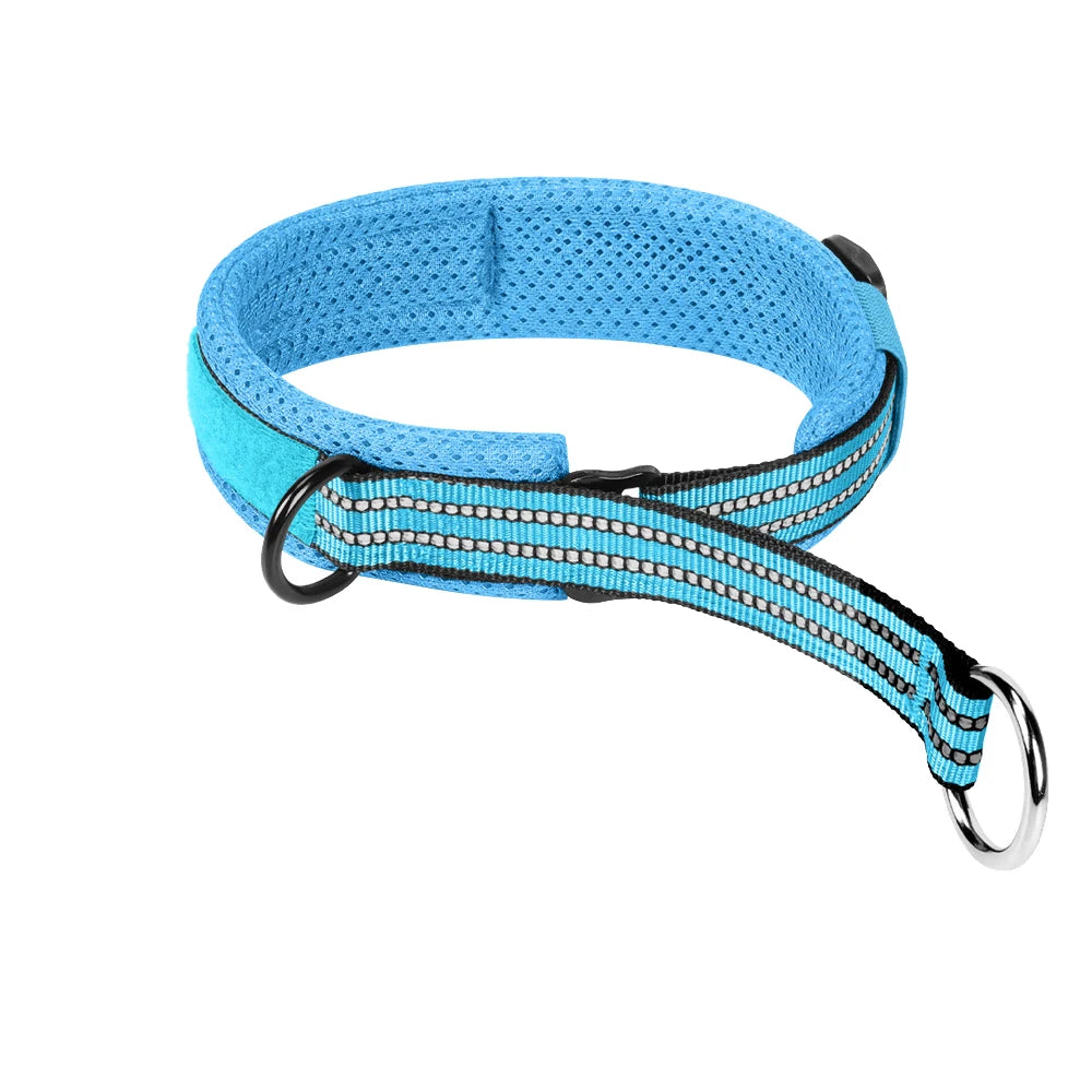 Collier d’entraînement bleu pour chien avec rembourrage et anneaux métalliques sur fond blanc.