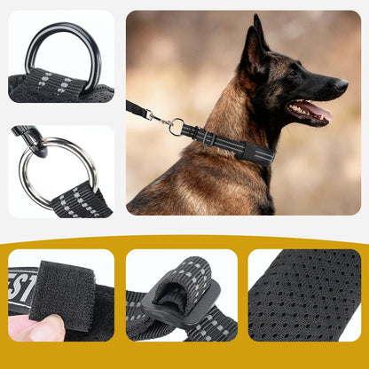 Montage d’un collier d’entraînement noir pour chien avec vues des anneaux, du velcro, de la boucle et du rembourrage.