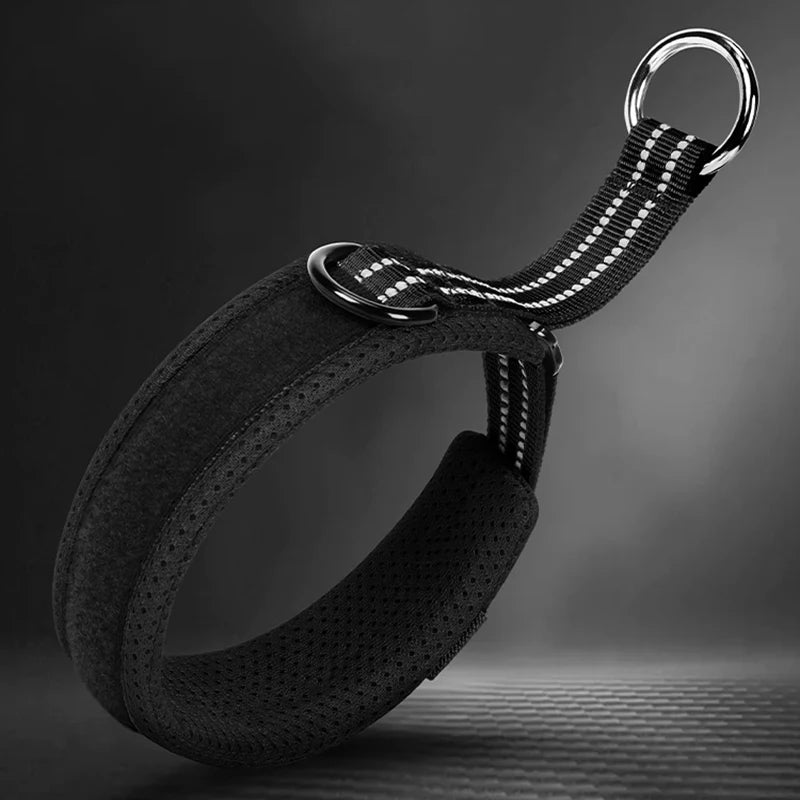 Collier d’entraînement noir pour chien avec rembourrage épais et anneaux métalliques sur fond sombre.