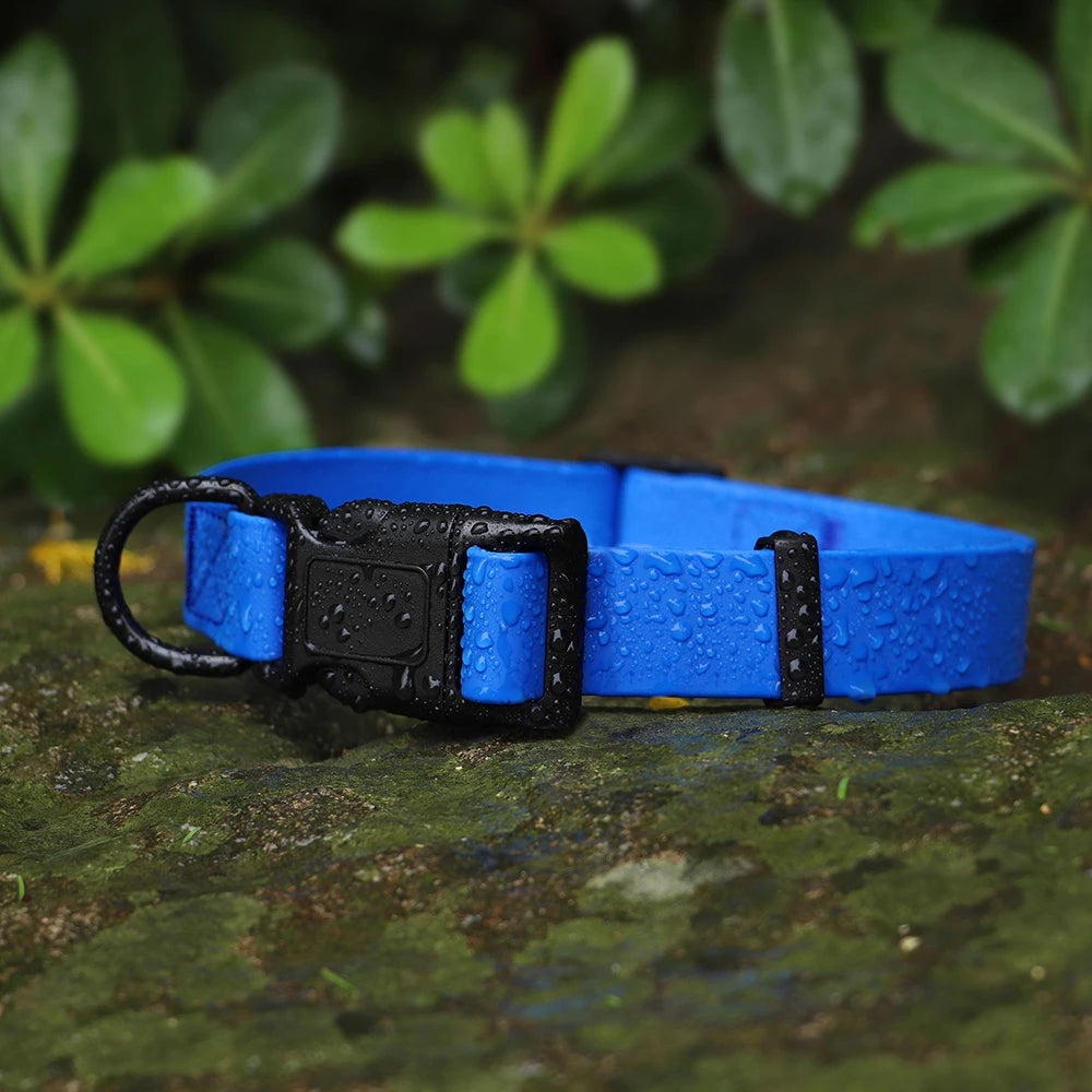 Collier pour chien bleu haute visibilité présenté avec gouttes d’eau en extérieur.