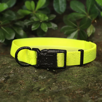 Collier pour chien jaune haute visibilité présenté avec gouttes d’eau en extérieur.