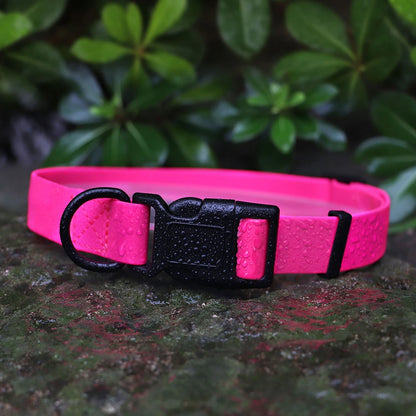 Collier pour chien rose haute visibilité présenté avec gouttes d’eau en extérieur.