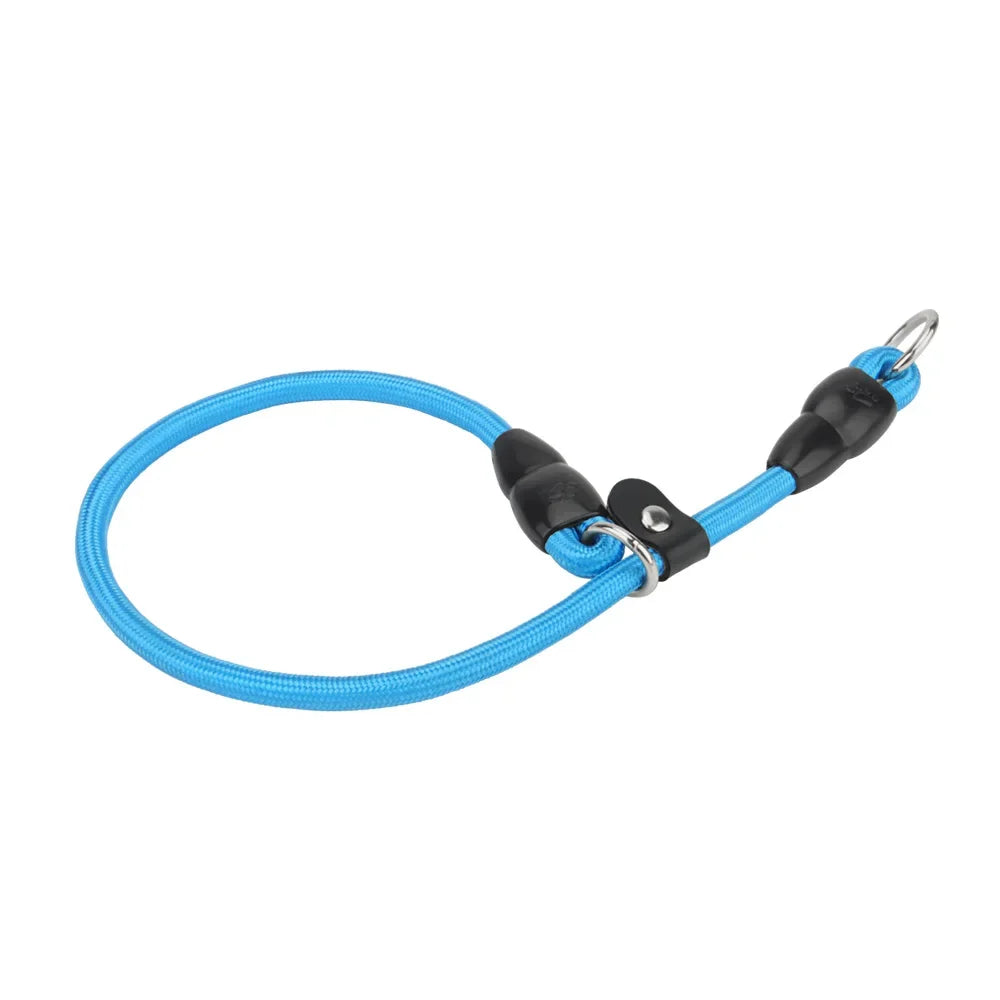 Vue produit d’un collier coulissant bleu pour chien avec anneau métallique présenté sur fond blanc.