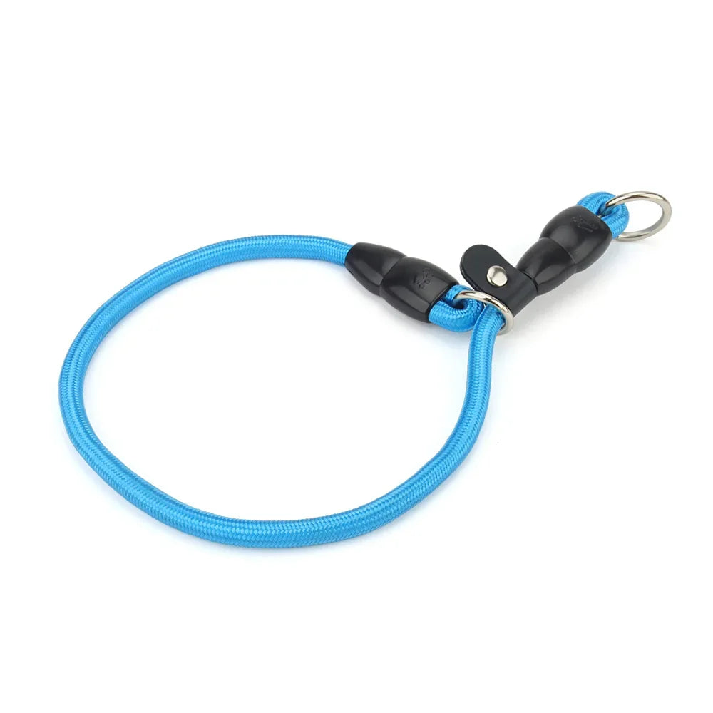 Modèle bleu de collier réglable pour chien avec anneau métallique, présenté avec la corde en rond et sur fond blanc.
