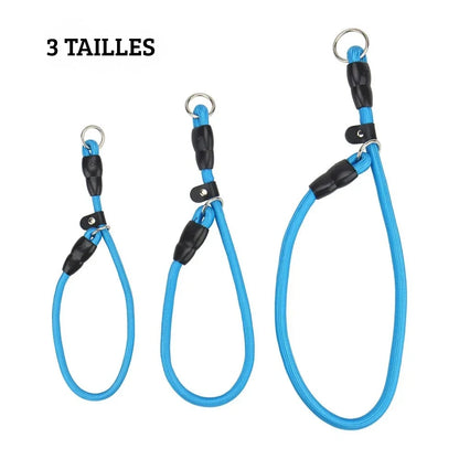 Trois colliers à glissière bleus pour chien en nylon imitation corde, du plus petit au plus grand.