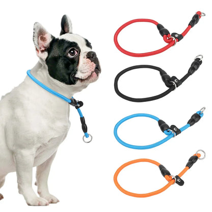 Chien portant un collier à glissière bleu avec présentation des coloris rouge, noir, bleu et orange sur fond blanc.