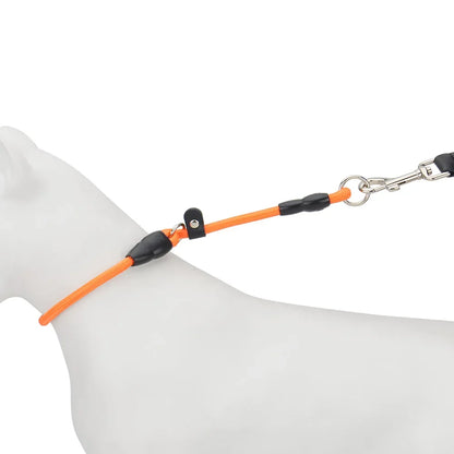 Collier à glissière orange pour chien présenté en situation sur un mannequin canin sur fond blanc.