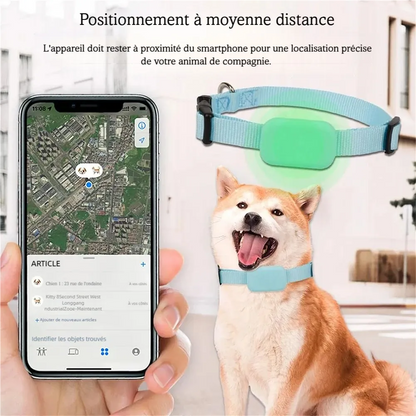 Smartphone affichant une carte à côté d’un chien portant un collier bleu avec boîtier en silicone.