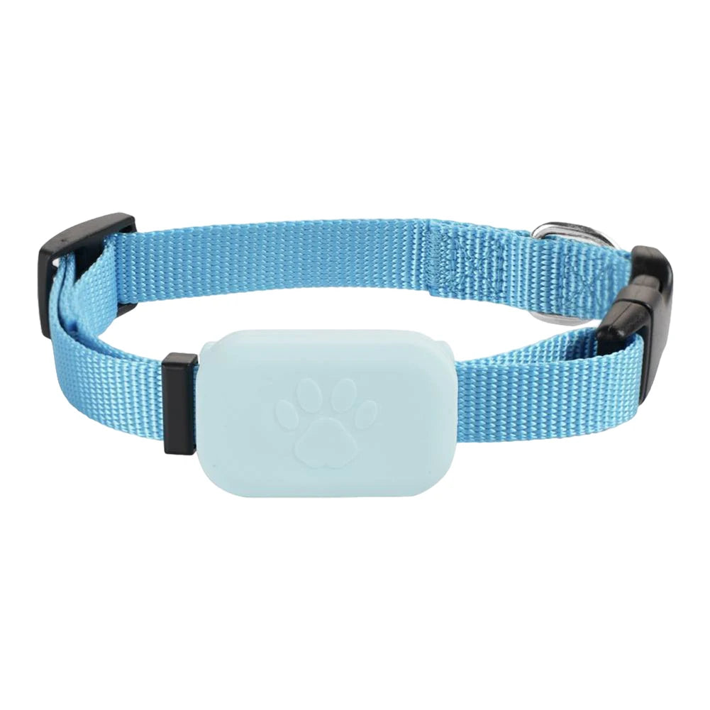 Modèle de collier GPS bleu pour chien présenté seul sur fond clair.