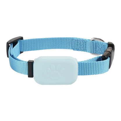 Modèle de collier GPS bleu pour chien présenté seul sur fond clair.