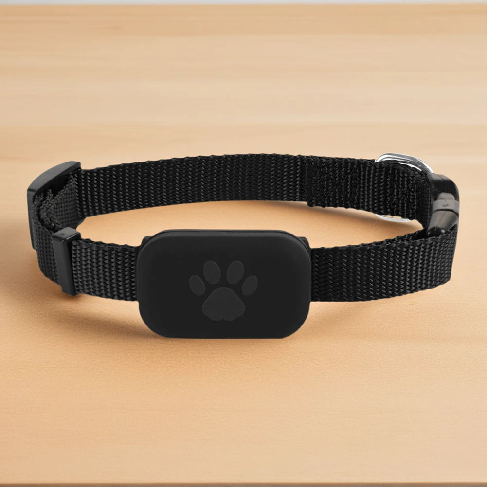 Collier noir pour chien avec boîtier en silicone posé sur une surface en bois.