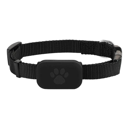 Modèle de collier GPS noir pour chien présenté seul sur fond clair.
