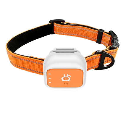 Collier pour chien orange avec boîtier GPS blanc et orange sur fond blanc.