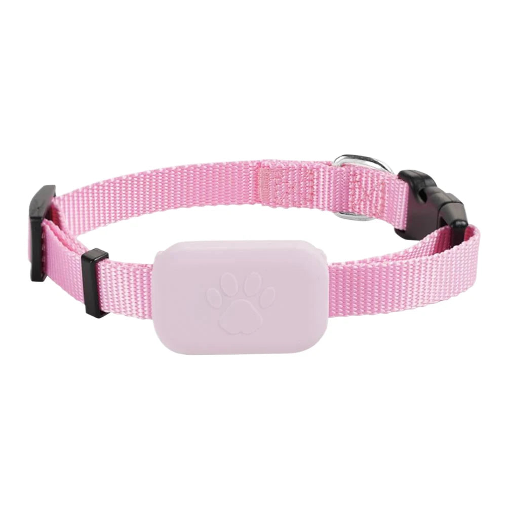 Modèle de collier GPS rose pour chien présenté seul sur fond clair.