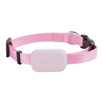 Modèle de collier GPS rose pour chien présenté seul sur fond clair.