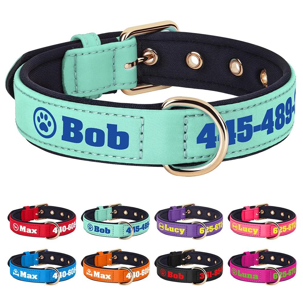 Collier pour chien avec bande imprimée large, intérieur noir et finition vert d’eau, présenté avec plusieurs coloris disponibles.