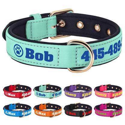 Collier pour chien avec bande imprimée large, intérieur noir et finition vert d’eau, présenté avec plusieurs coloris disponibles.