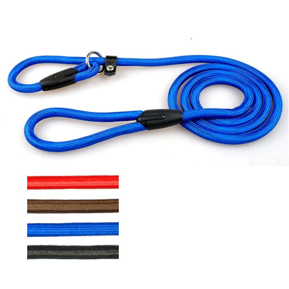 Laisse avec collier intégré en bleu, accompagnée des options de coloris disponibles.