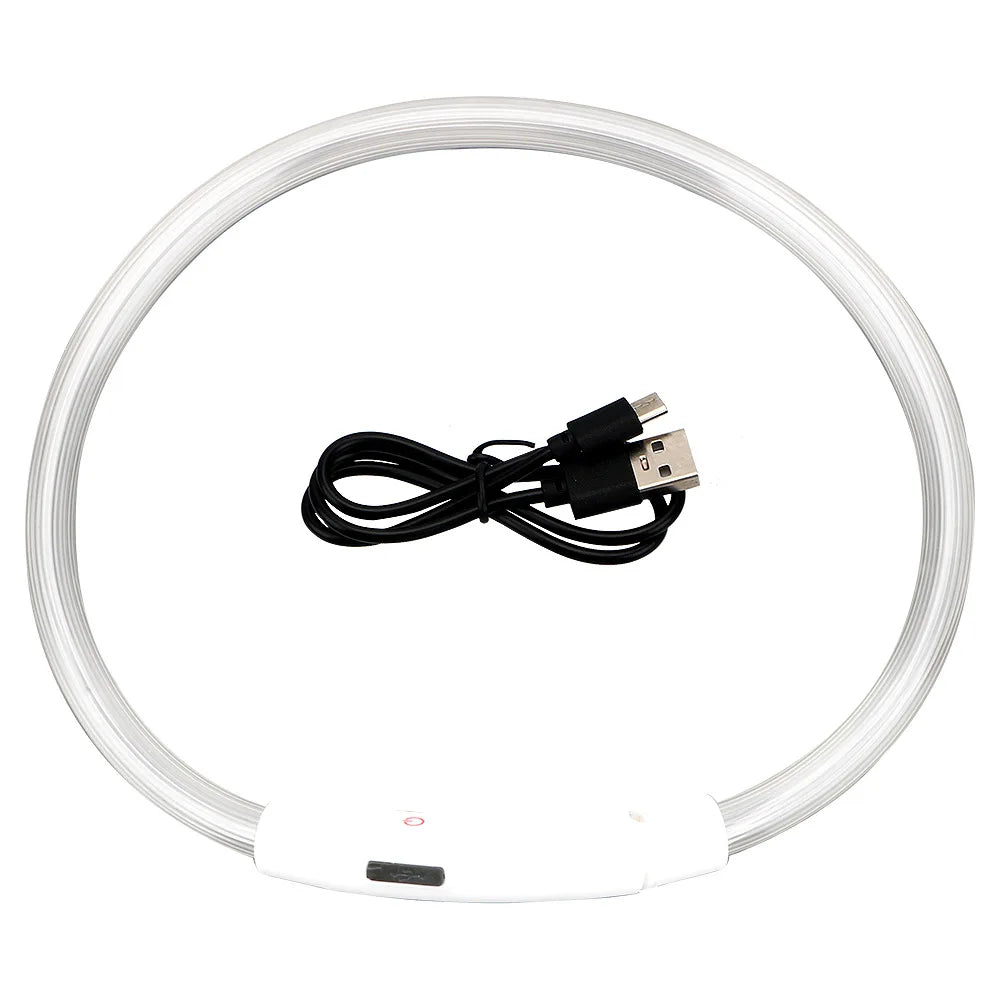 Modèle collier lumineux blanc pour chien avec câble USB noir sur fond blanc.