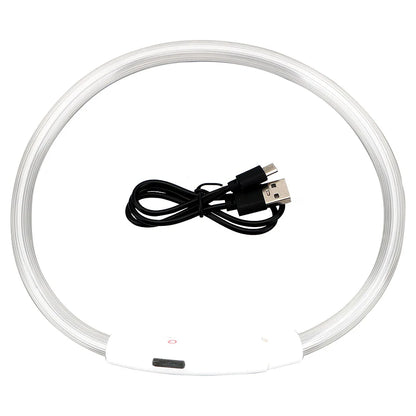 Modèle collier lumineux blanc pour chien avec câble USB noir sur fond blanc.