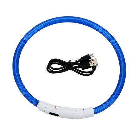 Modèle collier lumineux bleu pour chien avec câble USB noir sur fond blanc.