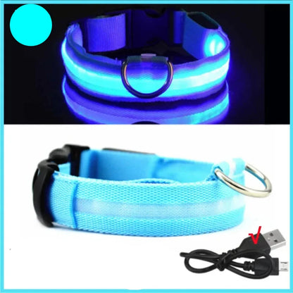 Collier lumineux LED USB pour chien en nylon ajustable 3 modes