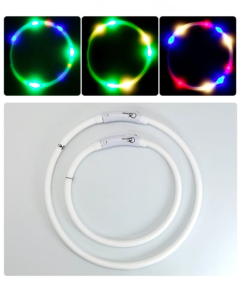 Montage avec trois modes lumineux en haut et deux tailles de collier en bas.