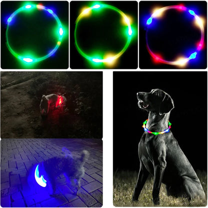 Chien noir portant un collier lumineux coloré avec exemples des différents modes d’éclairage.