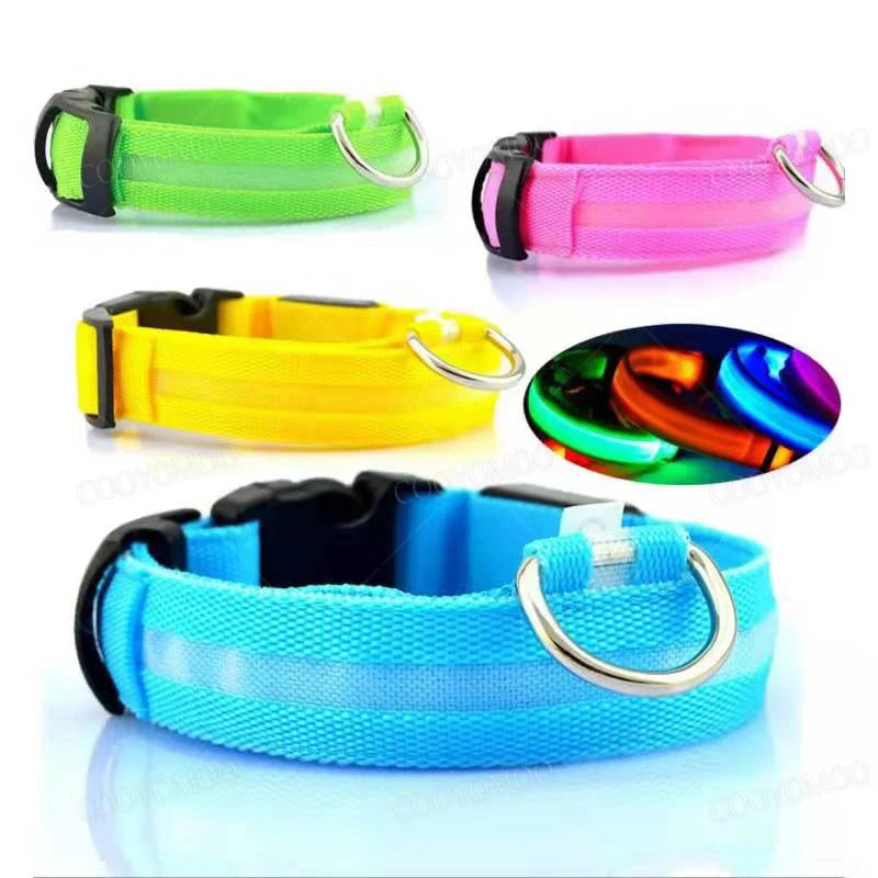 Quatre colliers lumineux pour chien en vert, rose, jaune et bleu sur fond blanc.