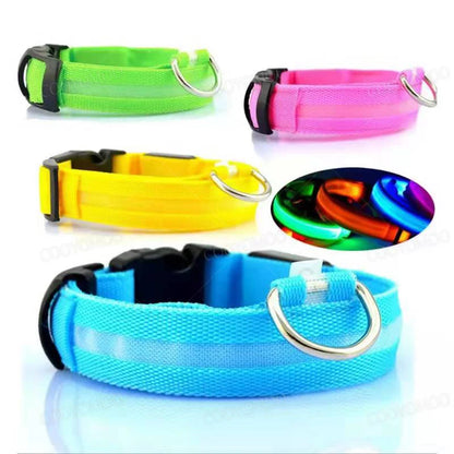 Quatre colliers lumineux pour chien en vert, rose, jaune et bleu sur fond blanc.