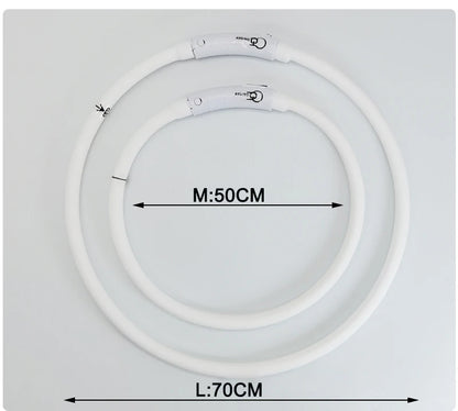 Deux colliers blancs pour chien avec dimensions M 50 cm et L 70 cm sur fond gris.