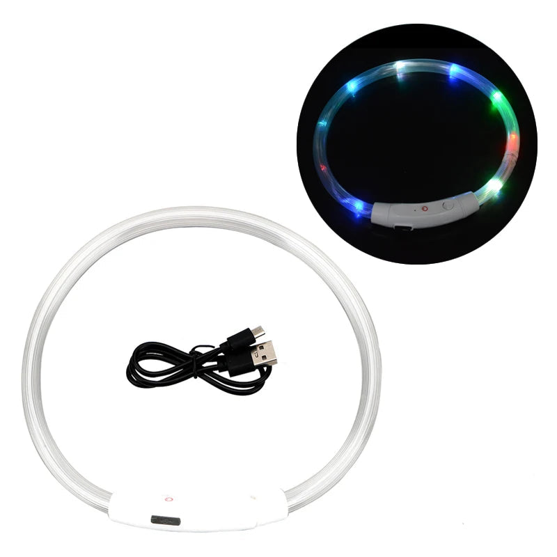 Collier transparent pour chien avec câble USB et vignette montrant le collier allumé.